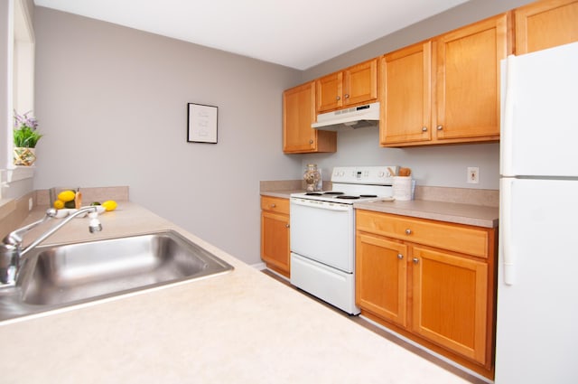 2769 Barclay Way, Ann Arbor, MI 48105 - kitchen with white appliances, under cabinet range hood, and light countertops