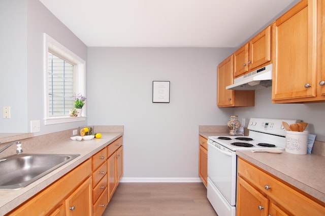 2769 Barclay Way, Ann Arbor, MI 48105 - kitchen featuring electric range, under cabinet range hood, light wood-style floors, and light countertops