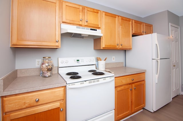 2769 Barclay Way, Ann Arbor, MI 48105 - kitchen with white appliances, under cabinet range hood, wood finished floors, and light countertops