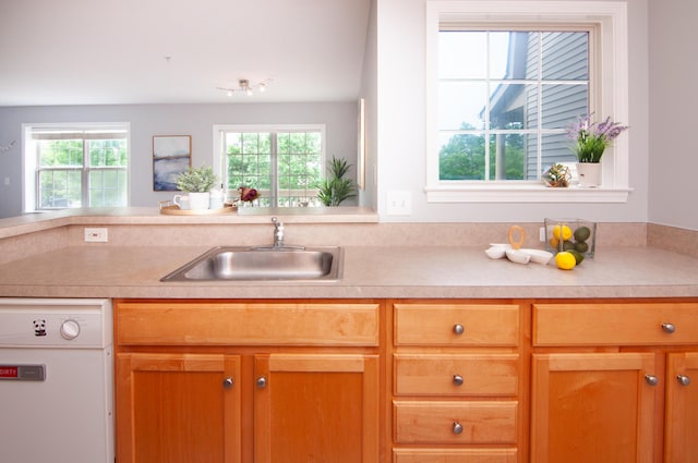 2769 Barclay Way, Ann Arbor, MI 48105 - kitchen featuring dishwasher, light countertops, and healthy amount of natural light