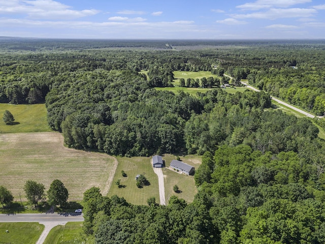 6127 River Rd, Manistee, MI 49660 - view of property location featuring a forest