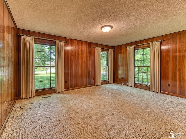 255 Maywood Ave, Monroe, MI 48162 - carpeted empty room featuring a textured ceiling and wooden walls