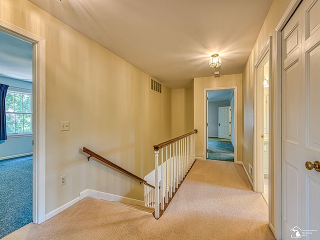 255 Maywood Ave, Monroe, MI 48162 - corridor with carpet and an upstairs landing