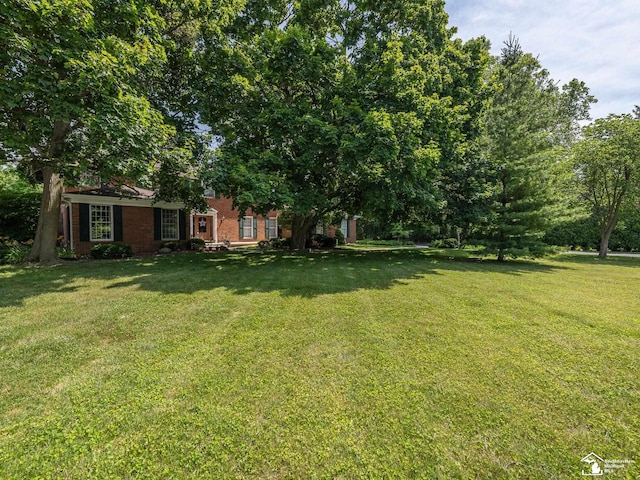 255 Maywood Ave, Monroe, MI 48162 - view of green lawn