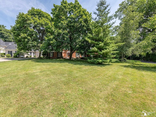 255 Maywood Ave, Monroe, MI 48162 - view of grassy yard
