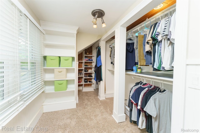904 Michigan Ave, East Lansing, MI 48823 - walk in closet with carpet floors