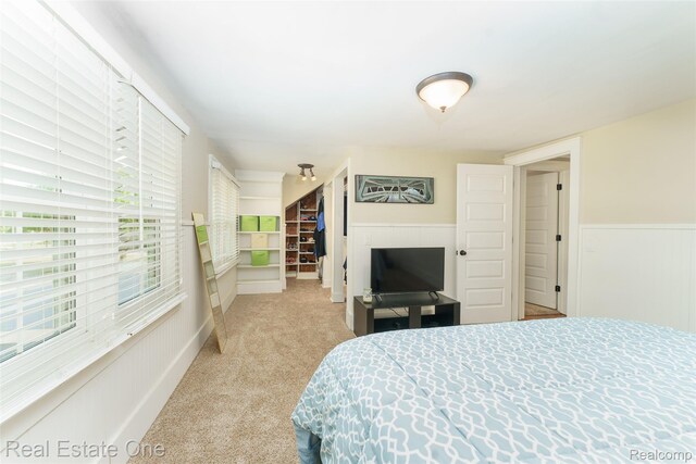 904 Michigan Ave, East Lansing, MI 48823 - bedroom with light colored carpet, a wainscoted wall, a closet, and a walk in closet