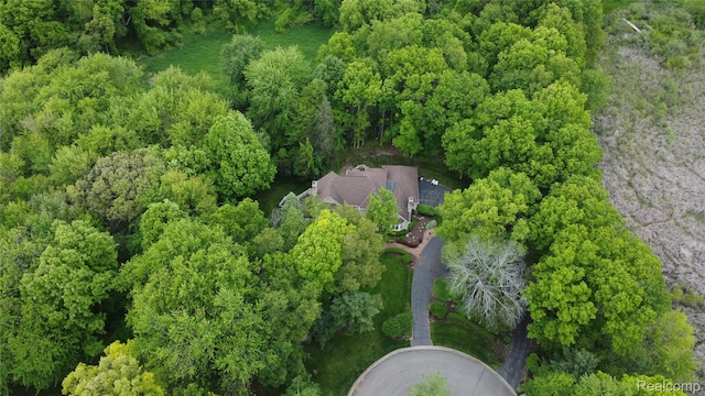 4270 Argenta Dr, Brighton, MI 48116 - aerial view of property and surrounding area