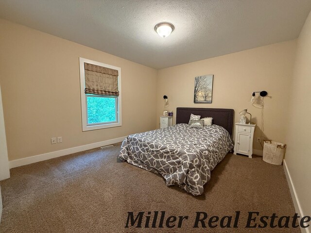 618 Riverwalk St, Hastings, MI 49058 - bedroom featuring dark colored carpet and a textured ceiling