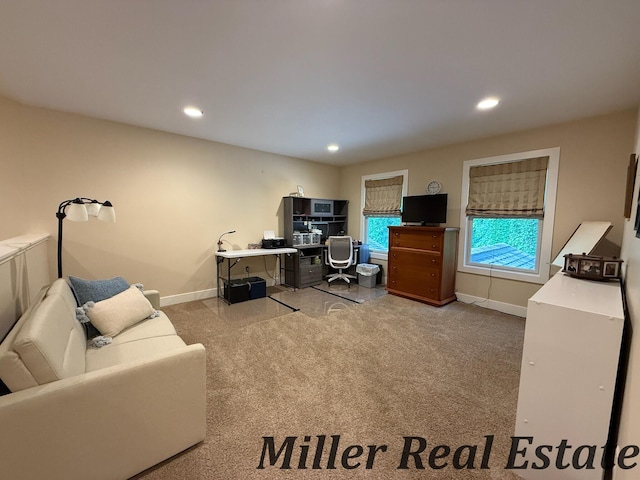 618 Riverwalk St, Hastings, MI 49058 - office space featuring carpet flooring and recessed lighting