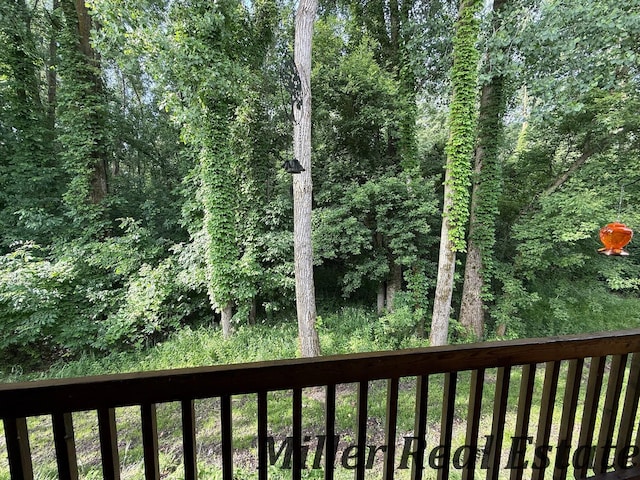 618 Riverwalk St, Hastings, MI 49058 - view of deck