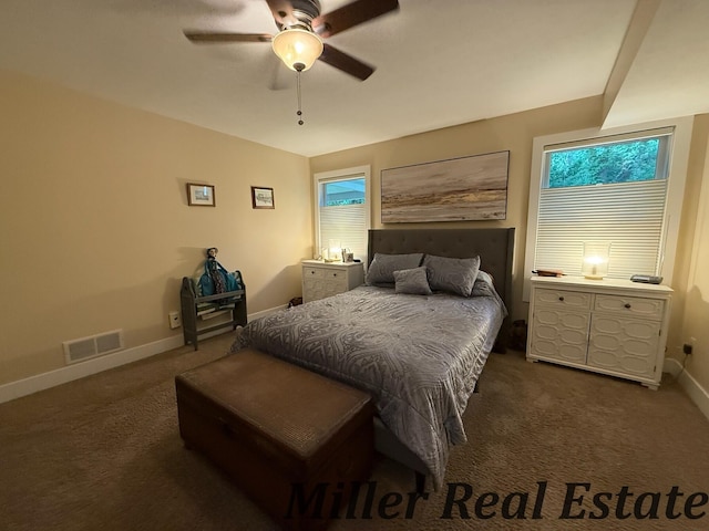 618 Riverwalk St, Hastings, MI 49058 - bedroom with dark colored carpet and ceiling fan
