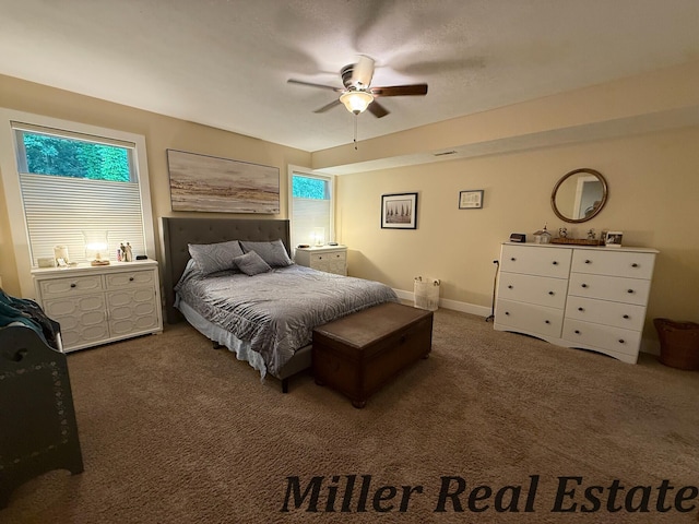 618 Riverwalk St, Hastings, MI 49058 - bedroom with carpet floors and ceiling fan