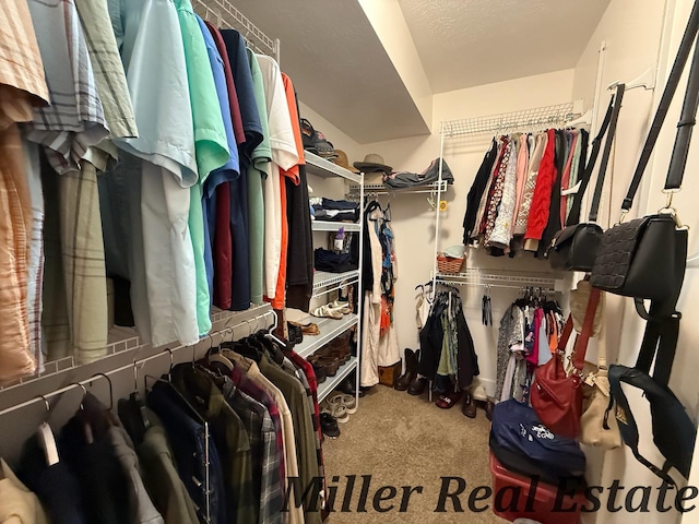 618 Riverwalk St, Hastings, MI 49058 - walk in closet with carpet flooring