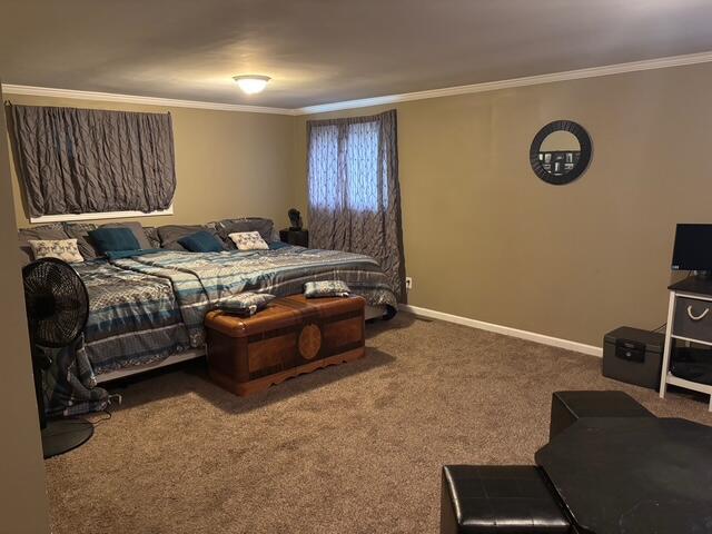 137 Apperson Rd, Battle Creek, MI 49015 - bedroom with carpet floors and crown molding