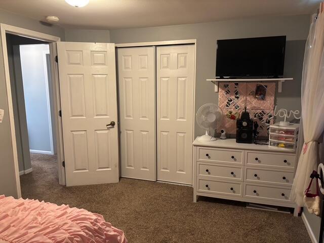 137 Apperson Rd, Battle Creek, MI 49015 - bedroom with dark carpet and a closet