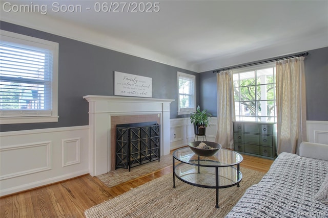 2371 Allard Ave, Grosse Pointe Woods, MI 48236 - living area with a wainscoted wall, a decorative wall, light wood-style floors, and a fireplace with flush hearth