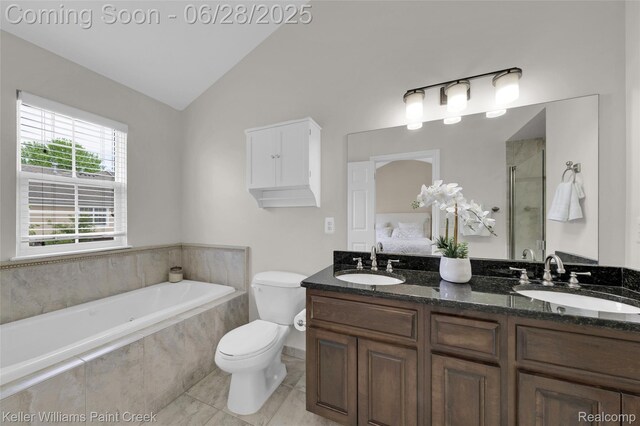 6014 Windemere Ln, Shelby Twp, MI 48316 - full bathroom featuring a garden tub, a stall shower, double vanity, vaulted ceiling, and tile patterned flooring