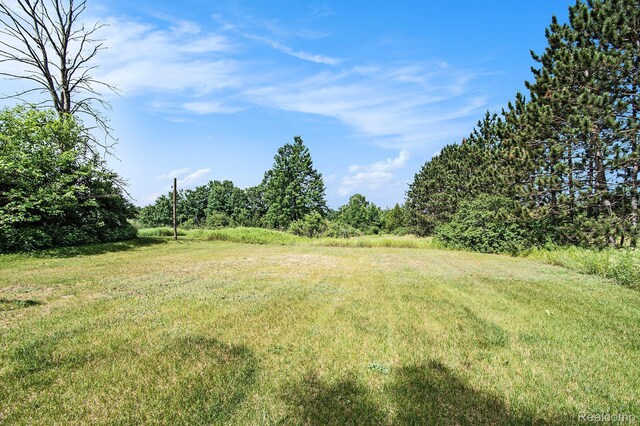 367 N Morrison Rd, West Branch, MI 48661 - view of green lawn