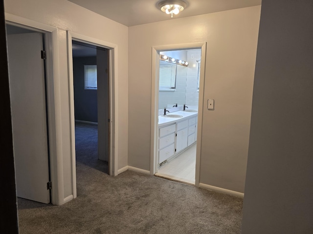9361 W Parkway St, Detroit, MI 48239 - corridor with carpet floors and a sink