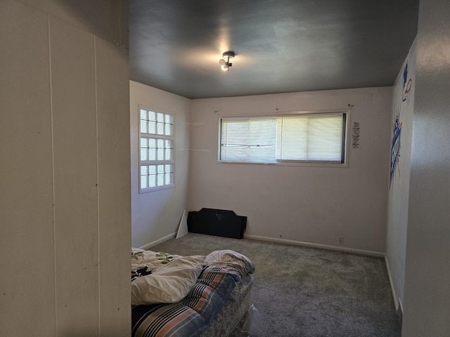 9361 W Parkway St, Detroit, MI 48239 - carpeted bedroom with baseboards