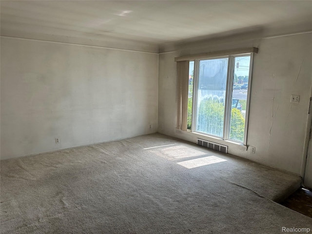 46985 Heydenreich Rd, Macomb, MI 48044 - spare room with plenty of natural light and carpet floors