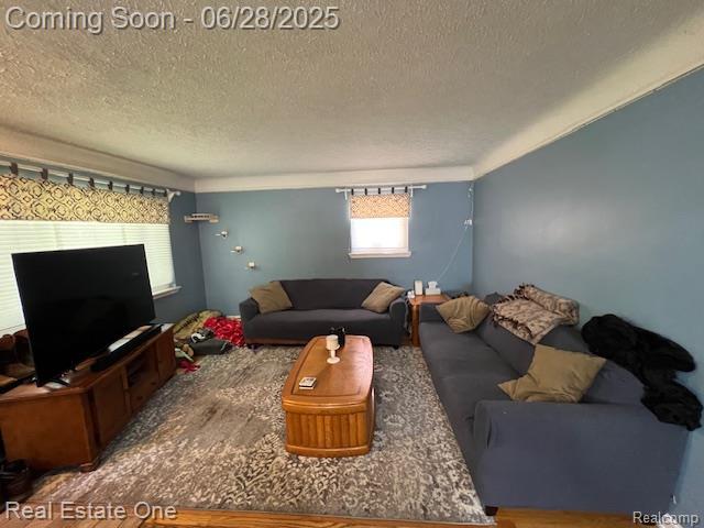 334 Harrington St, Mount Clemens, MI 48043 - photo 8