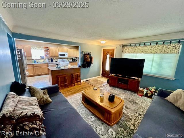 334 Harrington St, Mount Clemens, MI 48043 - photo 10