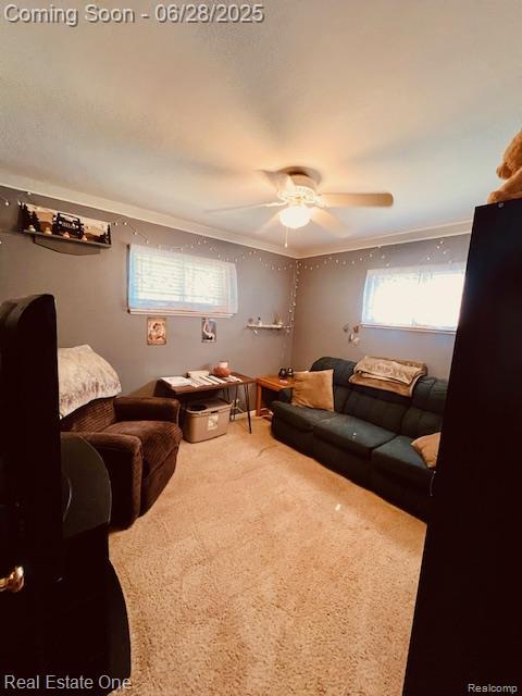 334 Harrington St, Mount Clemens, MI 48043 - photo 15