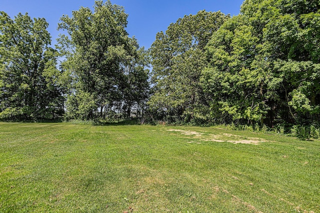 204 W Clay St, Sherwood, MI 49089 - view of green lawn