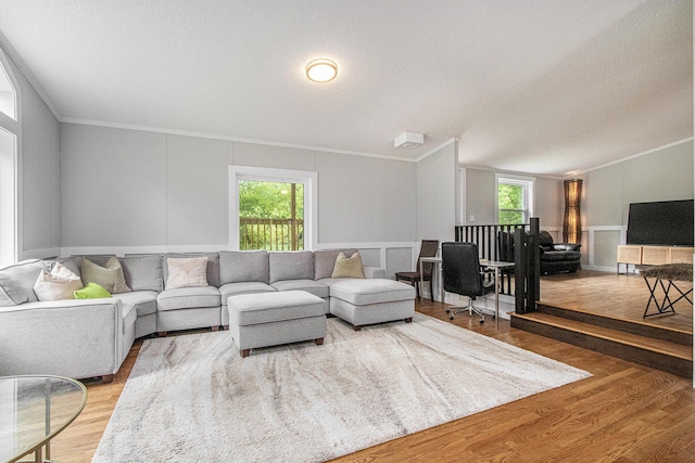 80150 46th Ave, Coloma, MI 49038 - living room with crown molding, healthy amount of natural light, wood finished floors, and a textured ceiling