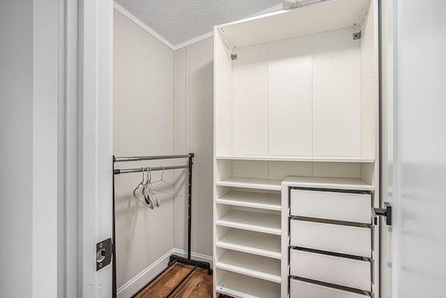 80150 46th Ave, Coloma, MI 49038 - walk in closet featuring dark wood finished floors