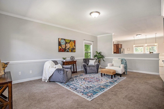 6061 Equestrian Woods Ct, Kalamazoo, MI 49009 - carpeted living area with plenty of natural light and ornamental molding