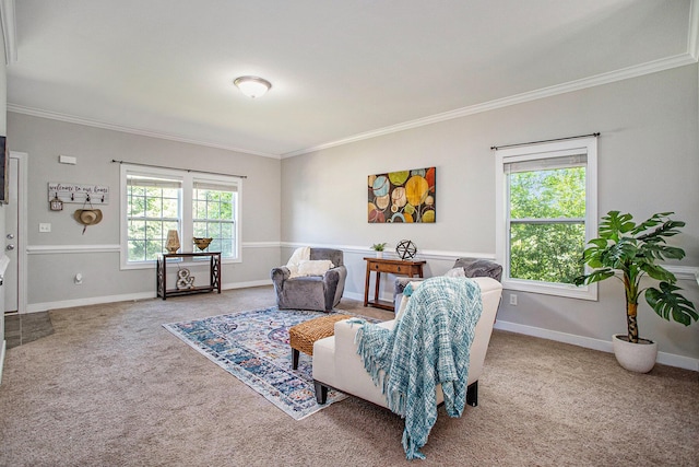 6061 Equestrian Woods Ct, Kalamazoo, MI 49009 - living area with carpet flooring and ornamental molding