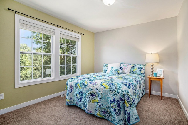 6061 Equestrian Woods Ct, Kalamazoo, MI 49009 - bedroom featuring carpet
