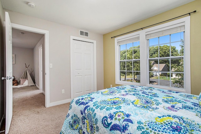6061 Equestrian Woods Ct, Kalamazoo, MI 49009 - bedroom featuring carpet floors and a closet