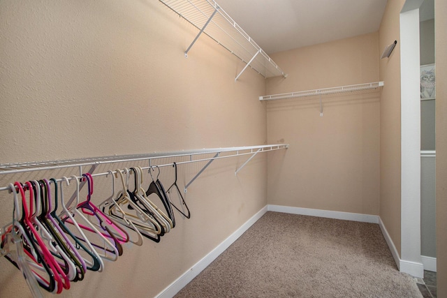 6061 Equestrian Woods Ct, Kalamazoo, MI 49009 - walk in closet with carpet floors