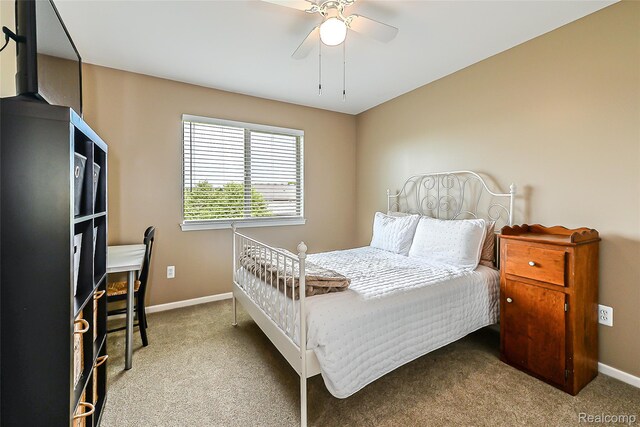58724 Carriage Ln, South Lyon, MI 48178 - photo 19