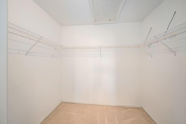 3350 Breckland Ct, Ann Arbor, MI 48108 - photo 35