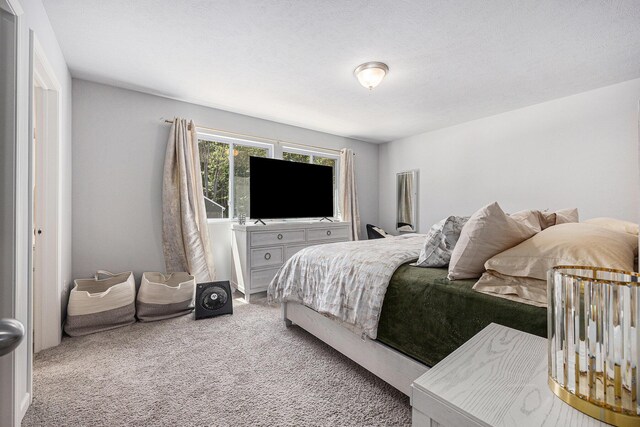 374 Lotz Ct, Wayland, MI 49348 - bedroom with carpet flooring