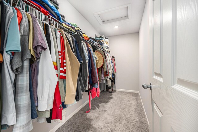 374 Lotz Ct, Wayland, MI 49348 - spacious closet with attic access and carpet