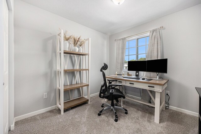 374 Lotz Ct, Wayland, MI 49348 - home office with carpet flooring and baseboards