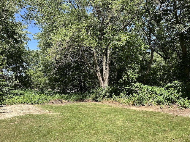 4641 Territorial Rd, Benton Harbor, MI 49022 - view of green lawn