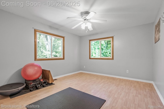 646 Alan Dr, Lake Orion, MI 48362 - exercise room featuring healthy amount of natural light, wood finished floors, and a ceiling fan