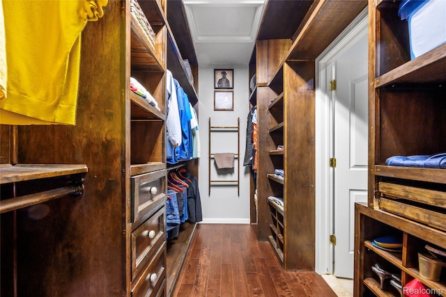 1249 Lasalle Rd, Canton, MI 48187 - walk in closet featuring dark wood-type flooring and attic access