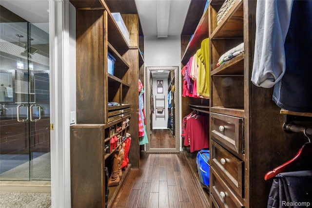 1249 Lasalle Rd, Canton, MI 48187 - walk in closet featuring dark wood-style flooring