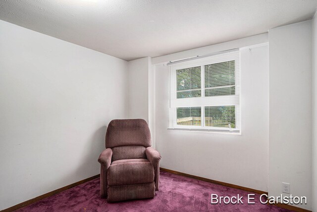 3950 Barnes Rd, Ravenna, MI 49451 - photo 13