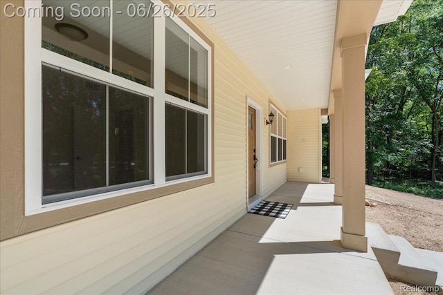 917 Chickasaw Dr, Mason, MI 48854 - view of porch