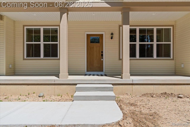 917 Chickasaw Dr, Mason, MI 48854 - view of exterior entry featuring covered porch