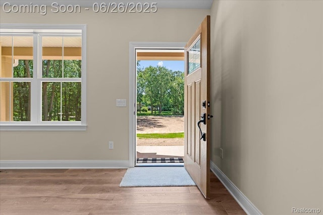 917 Chickasaw Dr, Mason, MI 48854 - foyer entrance with wood finished floors and baseboards